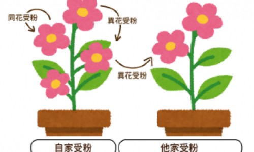 三磷酸腺苷二纳注射液价格网 - 三磷酸腺苷二钠的作用量,三磷酸腺苷二钠注射用法